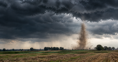 Grafika ilustracyjna przedstawiająca wir przypominający tornado nad polem w Wielkopolsce